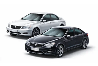 Dostawa ekspresowa Samochody w Zwijnaarde BE